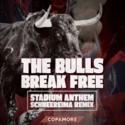 The Bulls Break Free (Stadium Anthem Schneereima Remix)