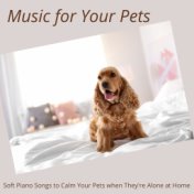 Music for Your Pets: Soft Piano Songs to Calm Your Pets when They're Alone at Home