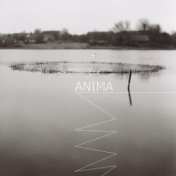 Anima