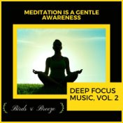 Meditation Is A Gentle Awareness - Deep Focus Music, Vol. 2