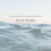 Sounds of the Ocean