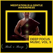 Meditation Is A Gentle Awareness - Deep Focus Music, Vol. 9