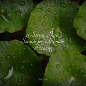 25 Serene Rain Sounds for Ultimate Healing