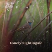Lonely Nightingale
