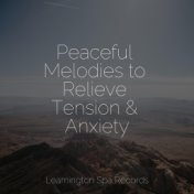 Peaceful Melodies to Relieve Tension & Anxiety
