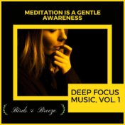 Meditation Is A Gentle Awareness - Deep Focus Music, Vol. 1