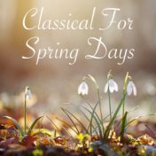 Classical For Spring Days