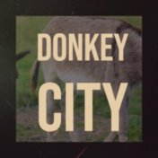 Donkey City