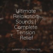 Ultimate Relaxation Sounds | Complete Tension Relief