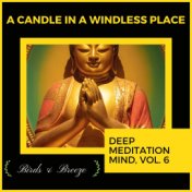 A Candle In A Windless Place - Deep Meditation Mind, Vol. 6