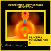 Experience Life Through Meditation - Peaceful Morning, Vol. 12
