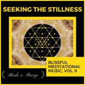 Seeking The Stillness - Blissful Meditational Music, Vol. 6