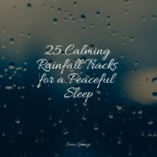 25 Calming Rainfall Tracks for a Peaceful Sleep