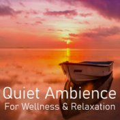 Quiet Ambience For Wellness & Relaxation