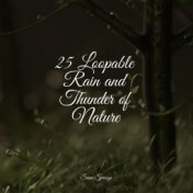 25 Loopable Rain and Thunder of Nature