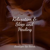 Relaxation & Sleep and Healing