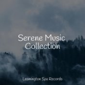 Serene Music Collection