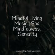 Mindful Living Music | Spa Mindfulness, Serenity