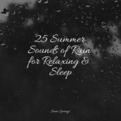 25 Summer Sounds of Rain for Relaxing & Sleep