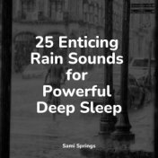 25 Enticing Rain Sounds for Powerful Deep Sleep