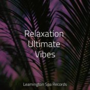 Relaxation Ultimate Vibes