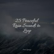 25 Peaceful Rain Sounds to Loop