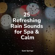 25 Refreshing Rain Sounds for Spa & Calm