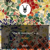 The 12 Monkeys