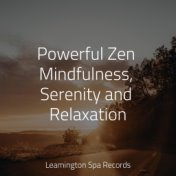 Powerful Zen Mindfulness, Serenity and Relaxation