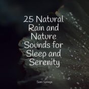25 Natural Rain and Nature Sounds for Sleep and Serenity