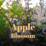 Apple Blossom