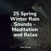 25 Spring Winter Rain Sounds - Meditation and Relax