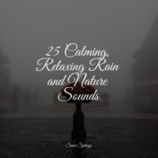 25 Calming, Relaxing Rain and Nature Sounds