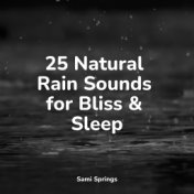 25 Natural Rain Sounds for Bliss & Sleep