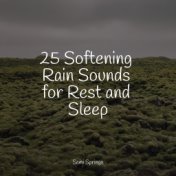 25 Softening Rain Sounds for Rest and Sleep