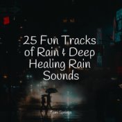 25 Fun Tracks of Rain & Deep Healing Rain Sounds