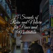 25 Sounds of Rain and Nature for Peace and Meditation