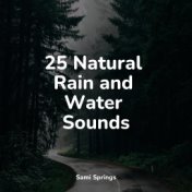 25 Natural Rain and Water Sounds