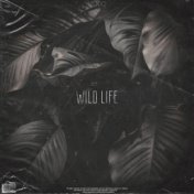 Wild Life