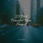 25 Best Peaceful Rain Sounds