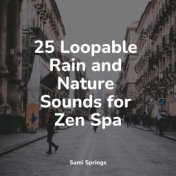 25 Loopable Rain and Nature Sounds for Zen Spa