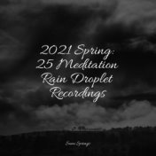 2021 Spring: 25 Meditation Rain Droplet Recordings