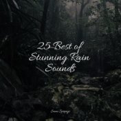 25 Best of Stunning Rain Sounds