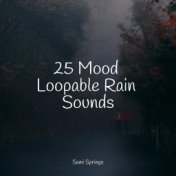 25 Mood Loopable Rain Sounds