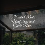 25 Gentle Music Mindfulness and Gentle Rain
