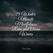 25 Winter: Ultimate Mindfulness Rain and Ocean Waves