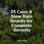 25 Calm & Slow Rain Sounds for Complete Serenity