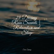 25 Dreamy Rain Sounds | Relaxation and Sleep