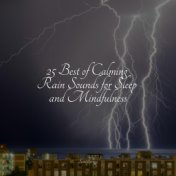 25 Best of Calming Rain Sounds for Sleep and Mindfulness