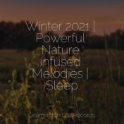 Winter 2021 | Powerful Nature Infused Melodies | Sleep